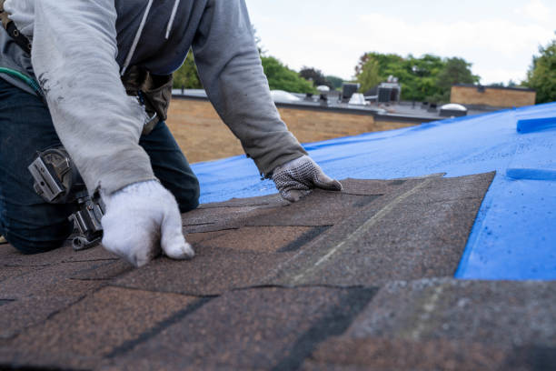 Best Tile Roofing Contractor  in Wellman, IA