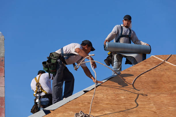 Best Storm Damage Roof Repair  in Wellman, IA