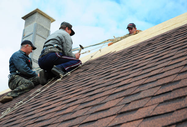 Best Roof Gutter Cleaning  in Wellman, IA