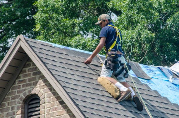 Best New Roof Installation  in Wellman, IA