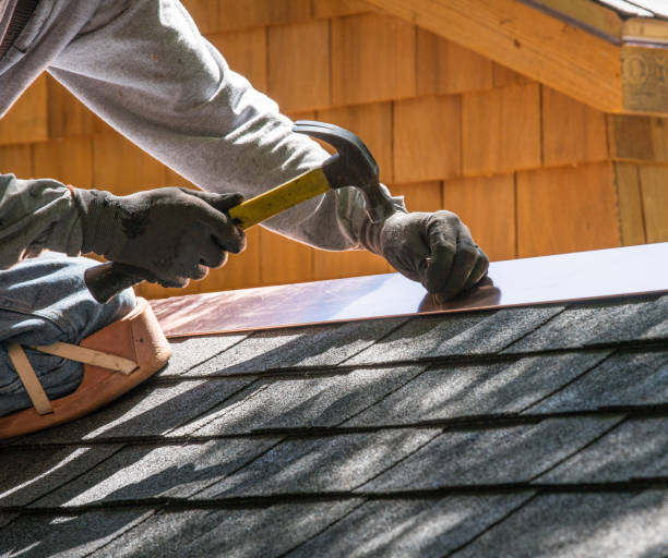 Best Metal Roofing Contractor  in Wellman, IA
